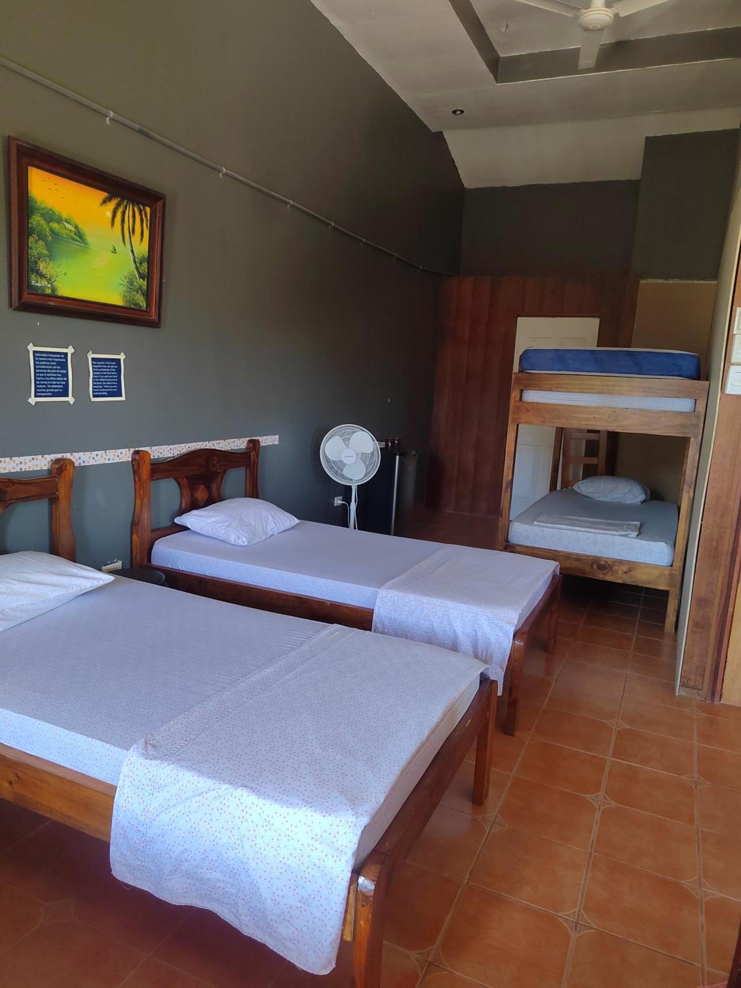 Sura House Corcovado Habitacion Big With Ac Пуэрто-Хименес Экстерьер фото